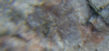 2017-02-05 12-01-56.JPG