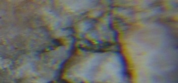 2017-02-05 12-02-04 (2).JPG