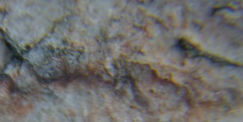 2017-02-05 12-01-56 (2).JPG