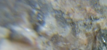 2017-02-05 12-01-40 (3).JPG