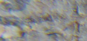 2017-02-05 12-01-26 (4).JPG