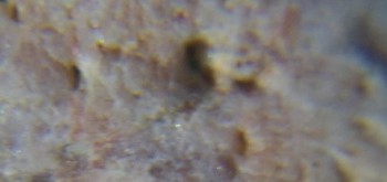 2017-02-05 12-01-26 (3).JPG