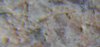 2017-02-05 12-01-26 (2).JPG