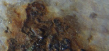 2017-02-05 11-55-34 (2).JPG