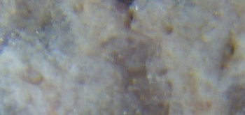 2017-02-05 11-55-34 (5).JPG