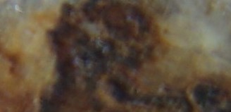 2017-02-05 11-55-34 (6).JPG