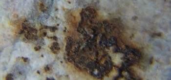 2017-02-05 11-55-34 (9).JPG