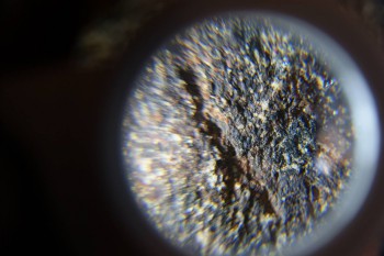 2017-02-07 08-01-42.JPG