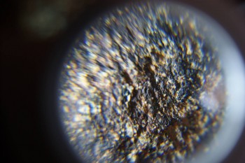 2017-02-07 08-02-22.JPG