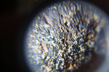 2017-02-07 08-02-42.JPG