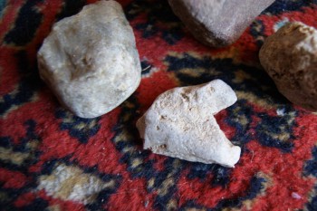 2017-02-07 08-03-18.JPG