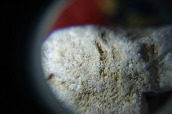 2017-02-07 08-03-52.JPG