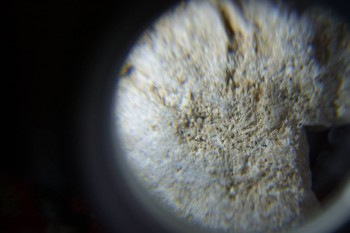 2017-02-07 08-04-22.JPG