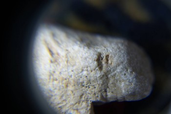 2017-02-07 08-04-52.JPG