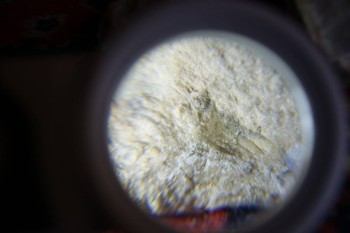 2017-02-07 08-05-30.JPG