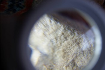 2017-02-07 08-06-20.JPG