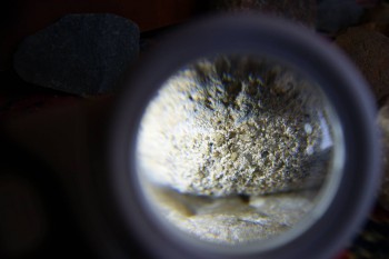 2017-02-07 08-09-18.JPG