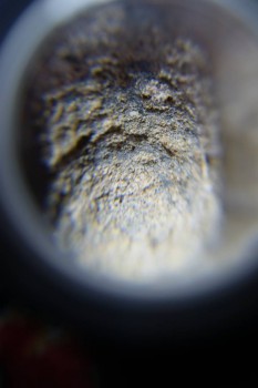 2017-02-07 08-09-50.JPG