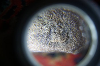 2017-02-07 08-10-44.JPG