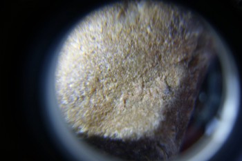 2017-02-07 08-11-44.JPG