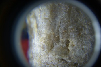 2017-02-07 08-13-08.JPG