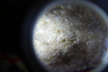 2017-02-07 08-13-40.JPG