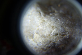 2017-02-07 08-13-48.JPG