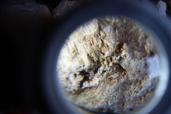 2017-02-07 08-14-36.JPG