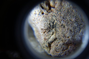 2017-02-07 08-15-30.JPG