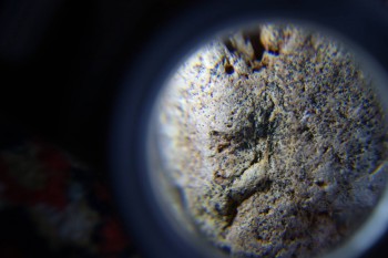 2017-02-07 08-15-56.JPG