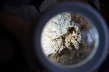 2017-02-07 08-16-28.JPG