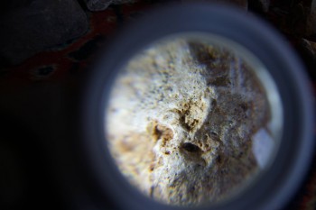 2017-02-07 08-16-48.JPG