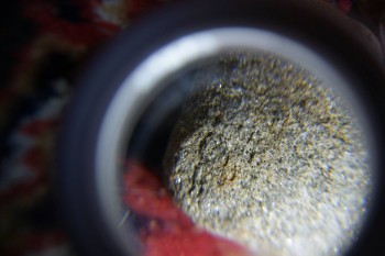 2017-02-07 08-18-42.JPG