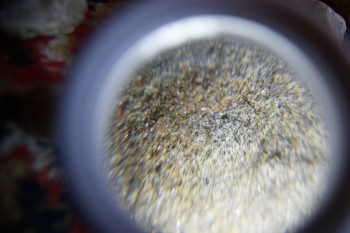 2017-02-07 08-18-56.JPG