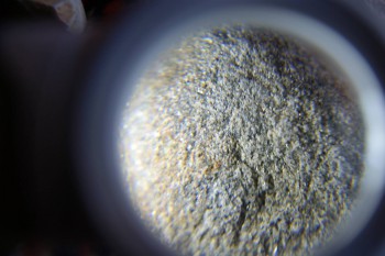 2017-02-07 08-19-20.JPG