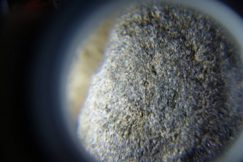 2017-02-07 08-20-10.JPG