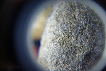 2017-02-07 08-20-22.JPG