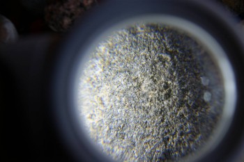 2017-02-07 08-30-10.JPG