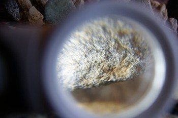 2017-02-07 08-31-16.JPG