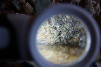 2017-02-07 08-31-24.JPG