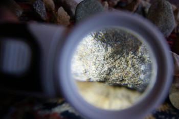 2017-02-07 08-31-32.JPG