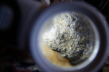 2017-02-07 08-31-54.JPG