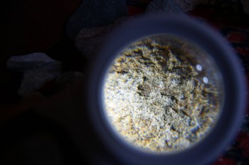 2017-02-07 08-32-40.JPG