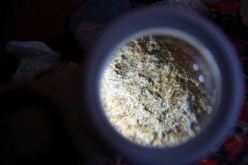 2017-02-07 08-32-52.JPG