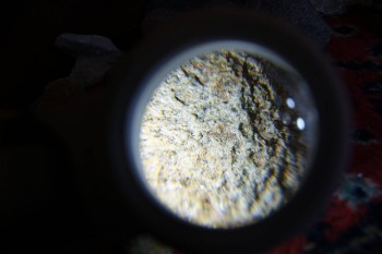 2017-02-07 08-33-08.JPG