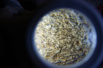 2017-02-07 08-33-20.JPG