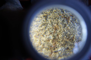 2017-02-07 08-33-50.JPG