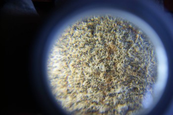 2017-02-07 08-33-58.JPG