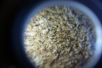 2017-02-07 08-34-22.JPG