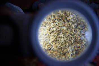 2017-02-07 08-34-46.JPG